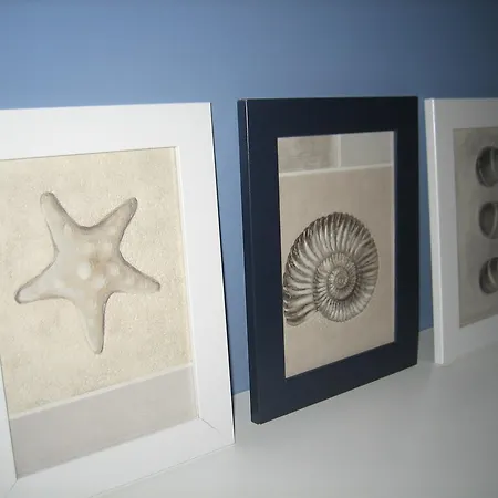 Sedinum - Bryza Στσέτσιν