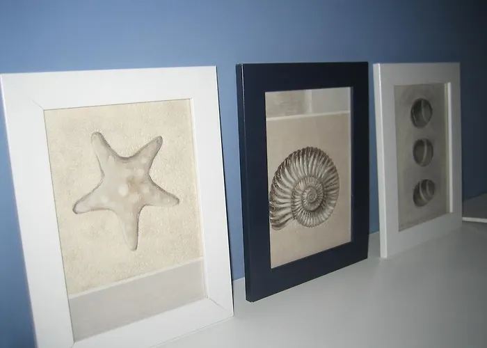 Sedinum - Bryza Stettin