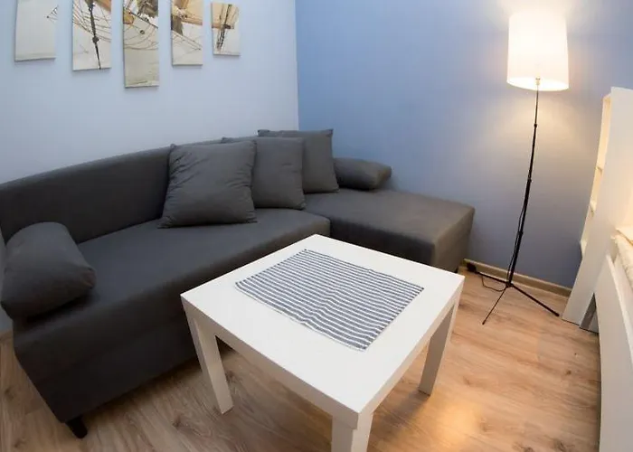 Sedinum - Bryza Szczecin